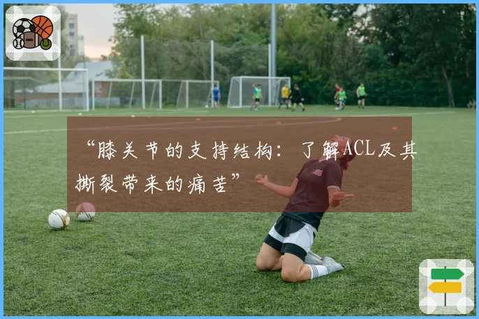 “膝关节的支持结构：了解ACL及其撕裂带来的痛苦”