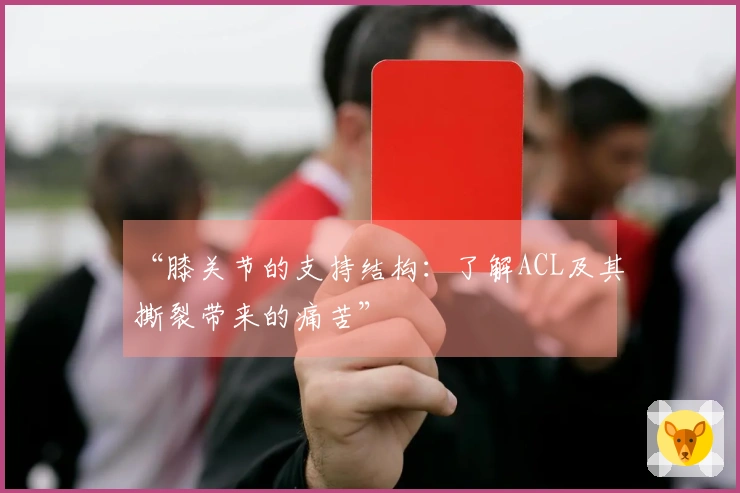 “膝关节的支持结构：了解ACL及其撕裂带来的痛苦”